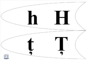 Literele și grupurile de litere - Petală h,ț